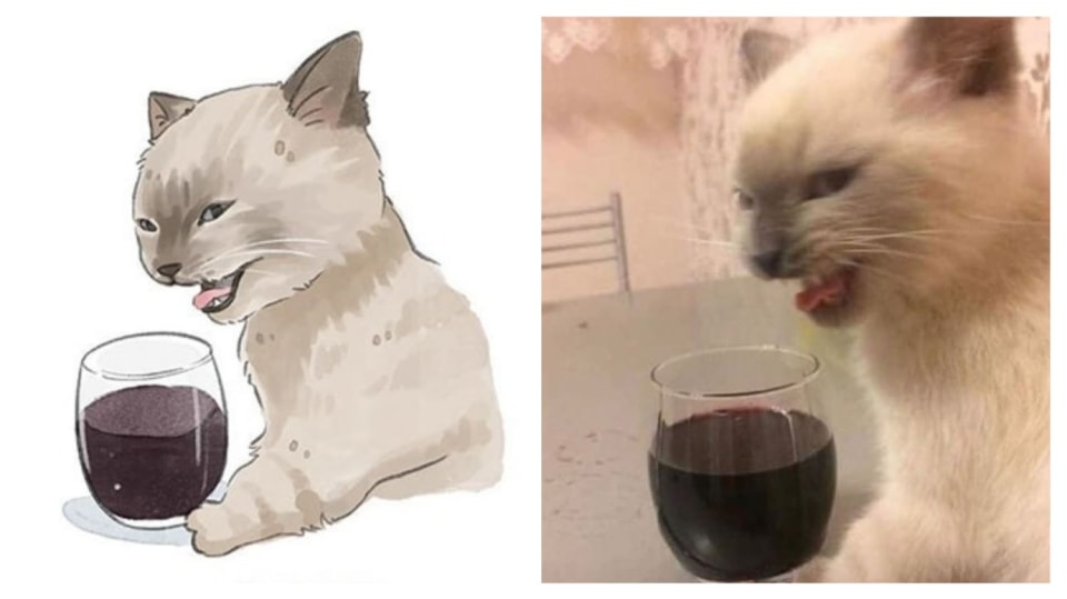 Legendární kočky